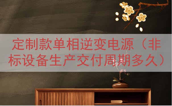 定制款单相逆变电源（非标设备生产交付周期多久）
